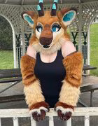 Arcticfux leaked OnlyFans girl