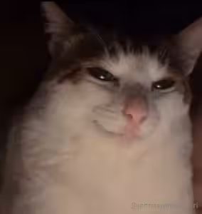 jennalynnmeowri #of_2005010267_0