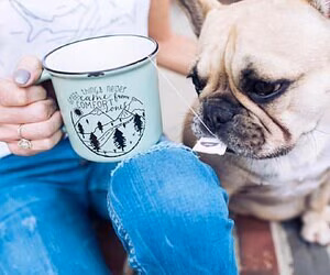 Michelle Laframboise #3155579