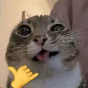 jennalynnmeowri #of_1998304609_0