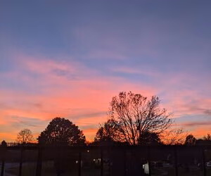 Dream_candy #1271410