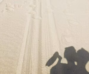 Emilia Clarke #1377294