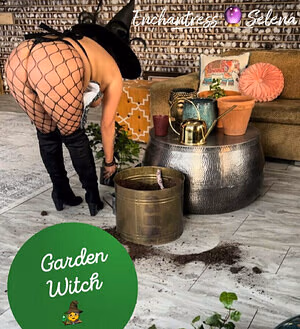 Enchantressselenafree #1427106