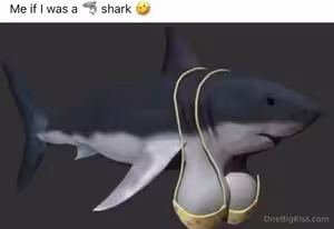 Onebigkiss #of_1537274620_0