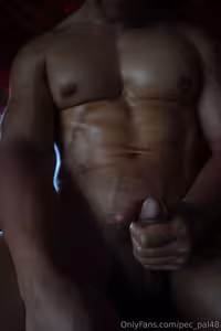 pec_pal48 #of_1281602557_3